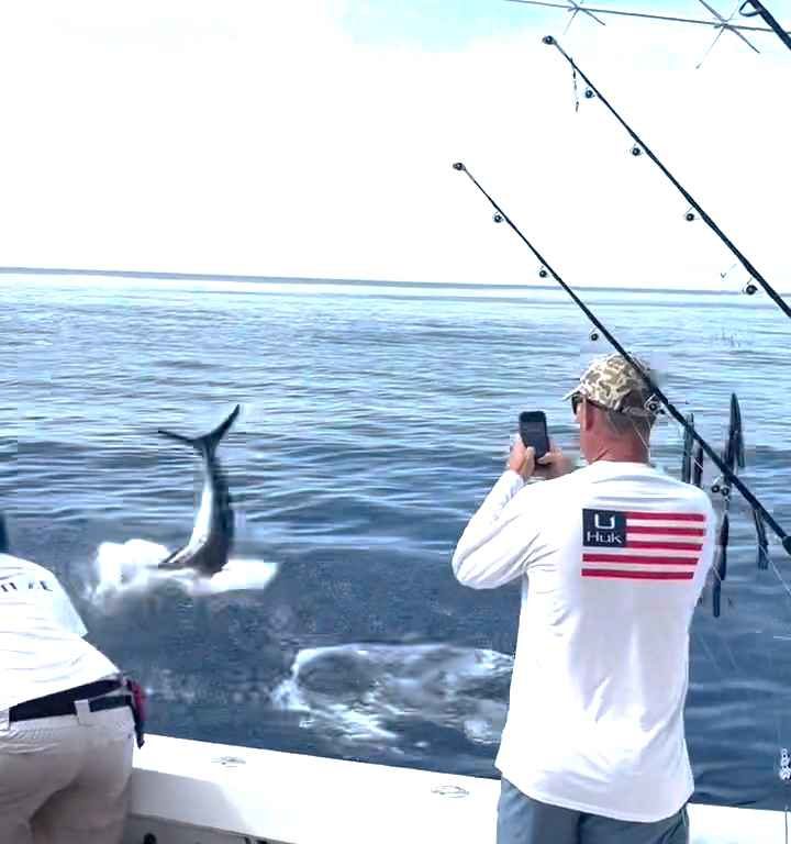 Vendetta del marlin, salta sulla barca e quasi sgozza il pescatore: video