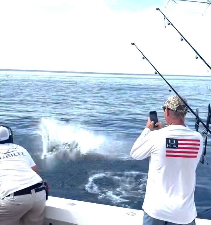 Venganza del marlin, salta al barco y casi masacra al pescador: video