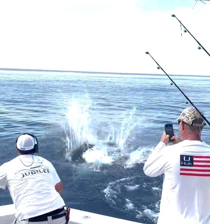 Venganza del marlin, salta al barco y casi masacra al pescador: video