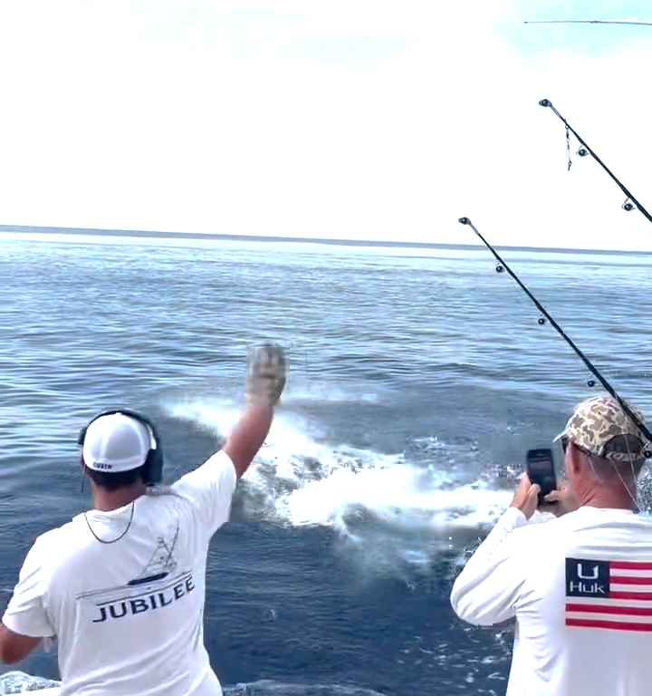 Venganza del marlin, salta al barco y casi masacra al pescador: video