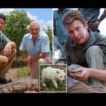 "Violó perros", condenó un zoólogo de televisión: el juez se avergüenza de revelar crímenes