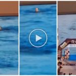 Un athlète de CrossFit meurt pendant la course et se noie en direct à la télévision avec une vidéo choquante