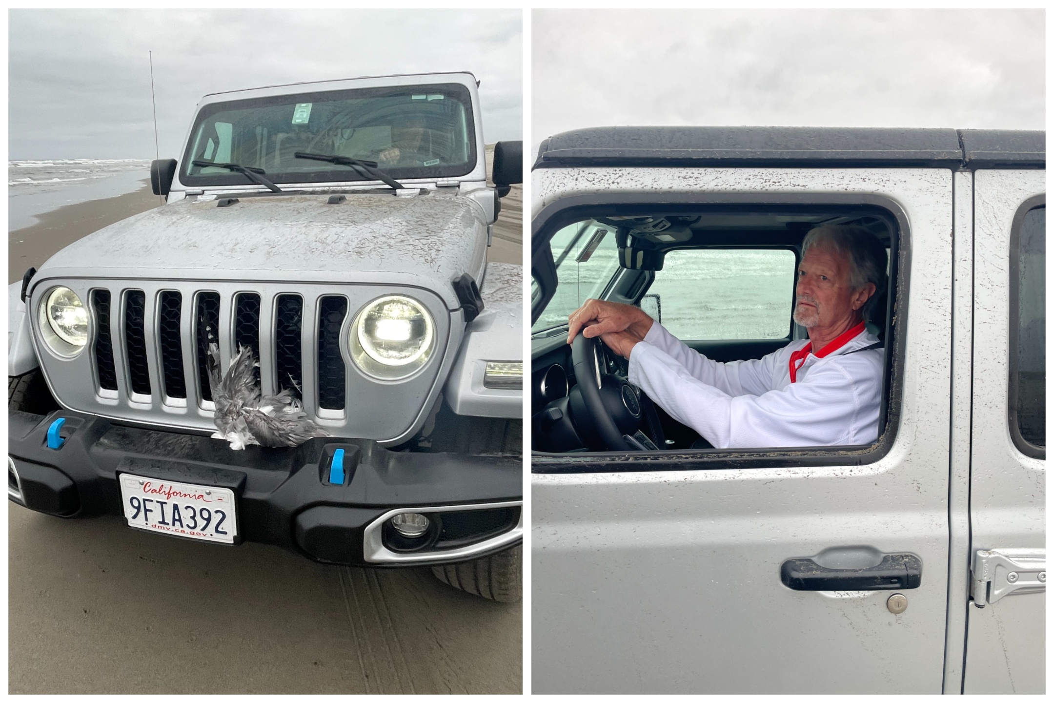 Coche en la playa masacra bandada de gaviotas, escena de terror filmada por nadadores