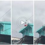 Baila en la terraza y toca cable de alta tensión: joven de 15 años decapitada, impactante video