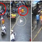 Perro cae del quinto piso y cae sobre una niña, ella muere pero él no: impactante video