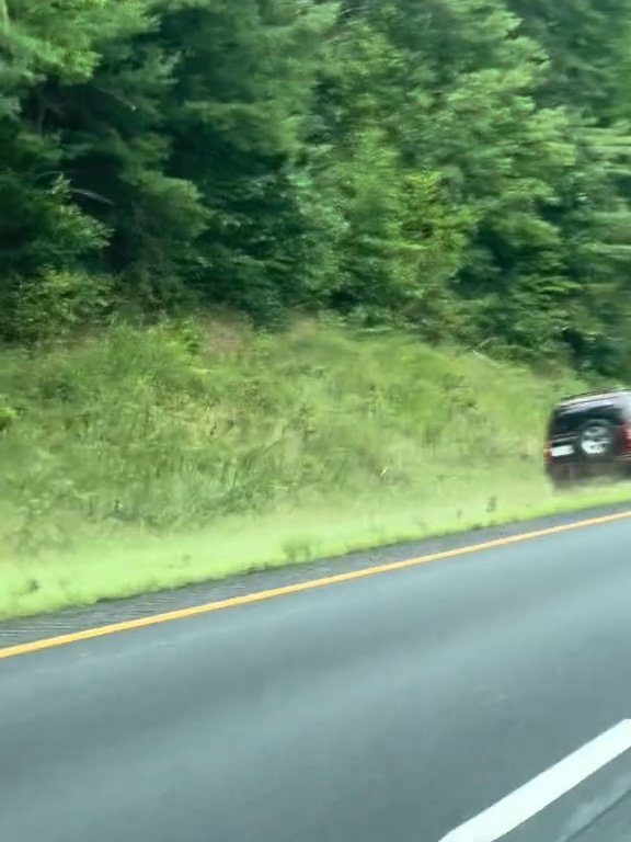 Guidatrice rabbiosa tenta sorpasso "off road" in autostrada e distrugge l'auto: video shock