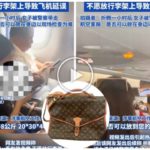 Il refuse de déposer le sac de luxe lancé de l'avion sous les applaudissements du sol