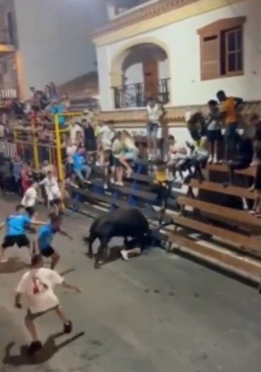 Toro impazzito incorna pubblico, eroe lo prende a calci nel didietro: video