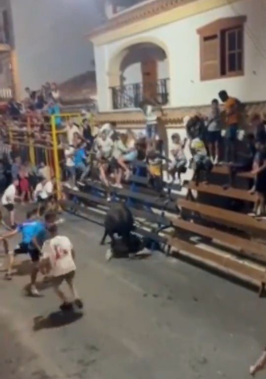 Toro impazzito incorna pubblico, eroe lo prende a calci nel didietro: video