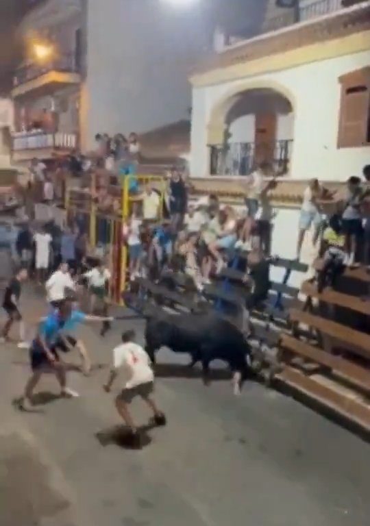 Toro impazzito incorna pubblico, eroe lo prende a calci nel didietro: video