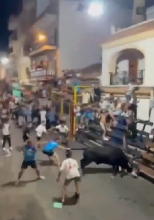 Toro impazzito incorna pubblico, eroe lo prende a calci nel didietro: video