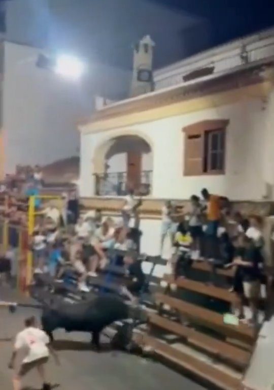 Toro loco cornea al público y el héroe le da una patada en el trasero: vídeo