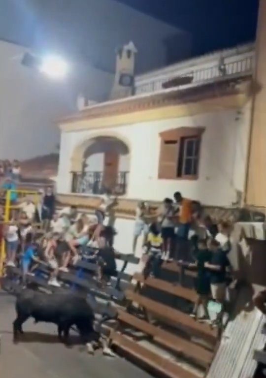 Toro impazzito incorna pubblico, eroe lo prende a calci nel didietro: video