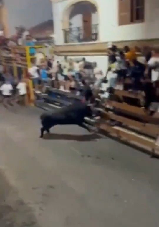 Toro loco cornea al público y el héroe le da una patada en el trasero: vídeo