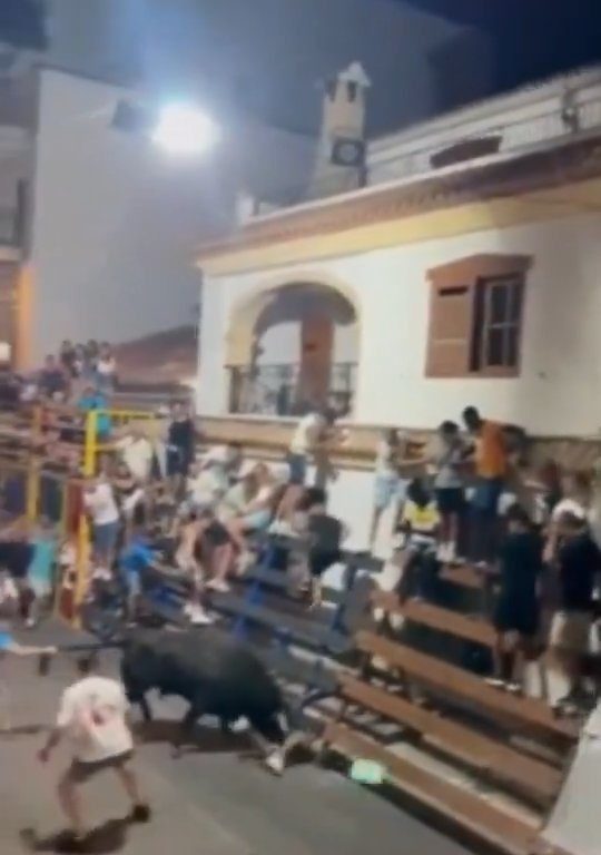 Toro impazzito incorna pubblico, eroe lo prende a calci nel didietro: video