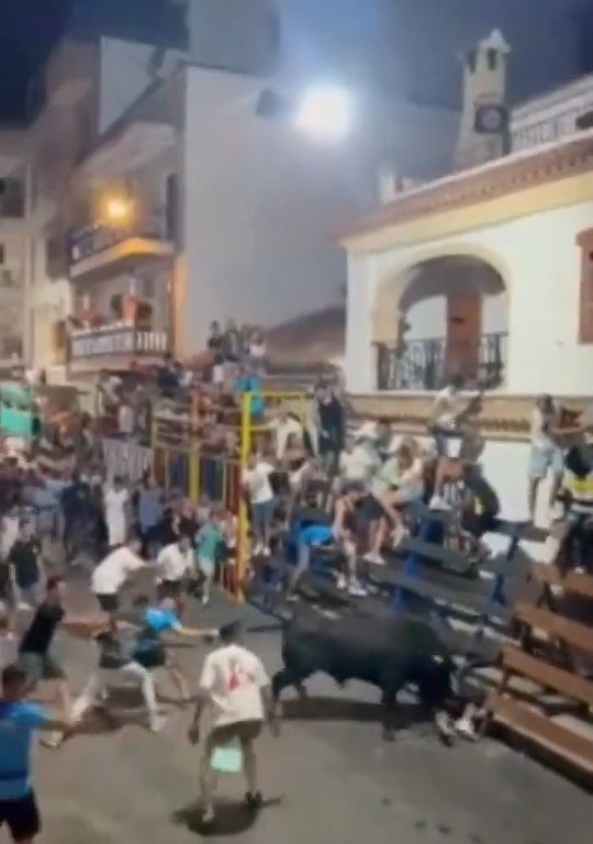 Toro impazzito incorna pubblico, eroe lo prende a calci nel didietro: video