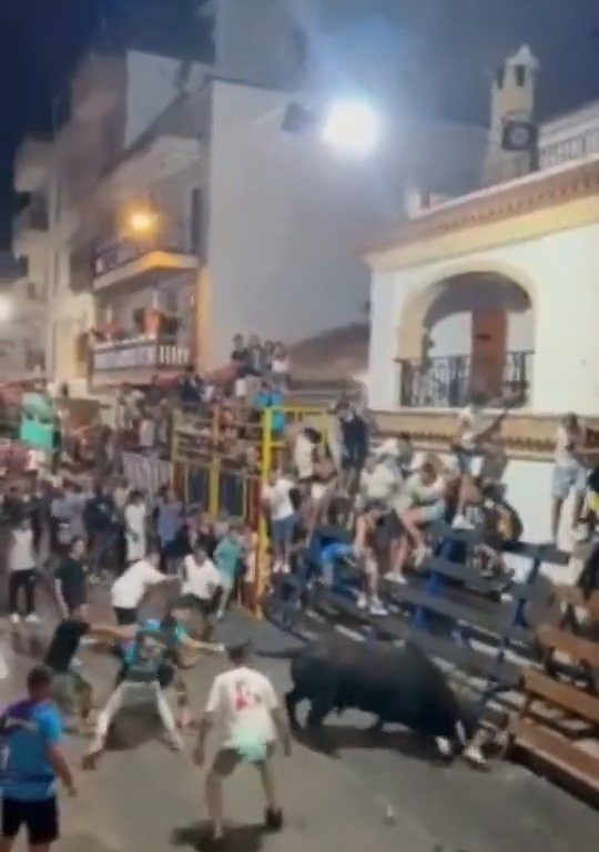 Toro impazzito incorna pubblico, eroe lo prende a calci nel didietro: video