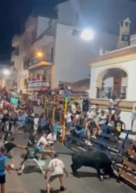 Toro impazzito incorna pubblico, eroe lo prende a calci nel didietro: video