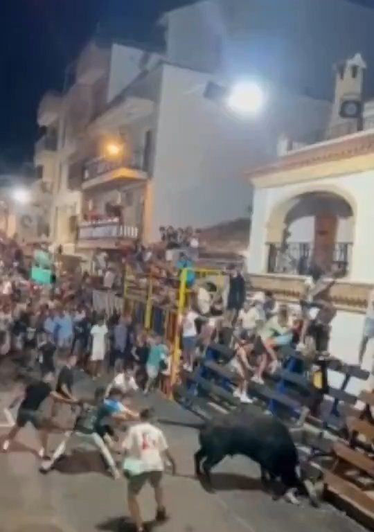 Toro impazzito incorna pubblico, eroe lo prende a calci nel didietro: video