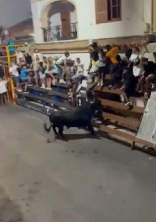 Toro loco cornea al público y el héroe le da una patada en el trasero: vídeo