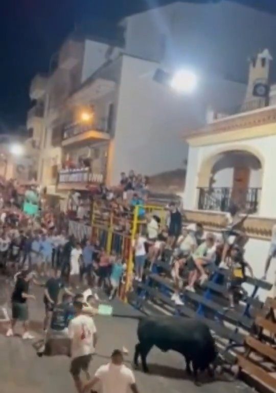 Toro impazzito incorna pubblico, eroe lo prende a calci nel didietro: video