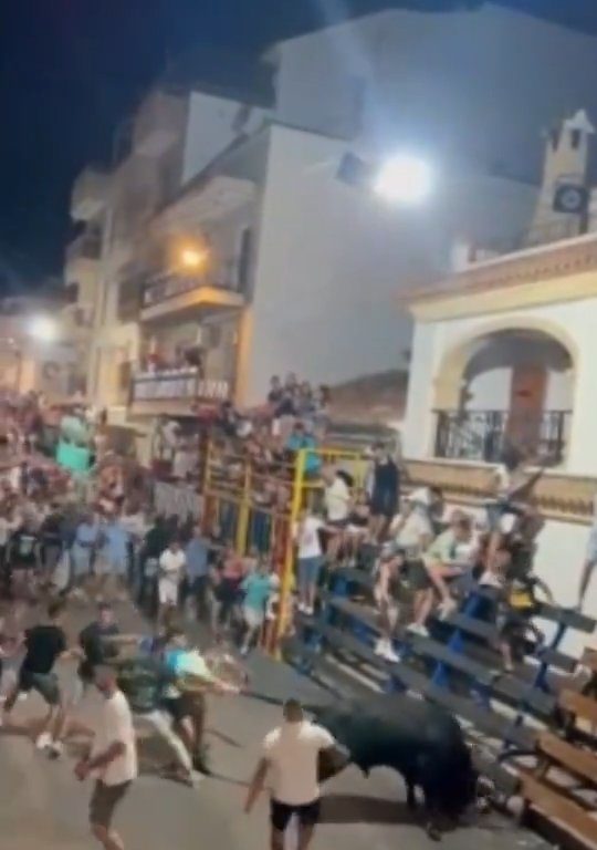 Toro impazzito incorna pubblico, eroe lo prende a calci nel didietro: video