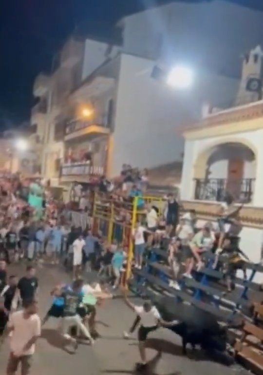 Toro impazzito incorna pubblico, eroe lo prende a calci nel didietro: video