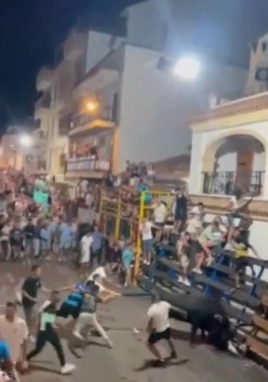 Toro impazzito incorna pubblico, eroe lo prende a calci nel didietro: video