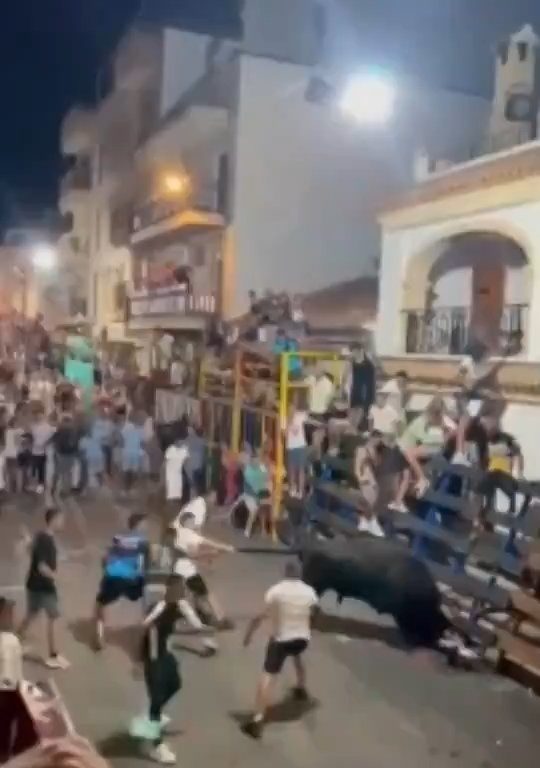 Toro impazzito incorna pubblico, eroe lo prende a calci nel didietro: video