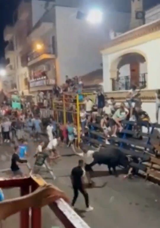 Toro impazzito incorna pubblico, eroe lo prende a calci nel didietro: video