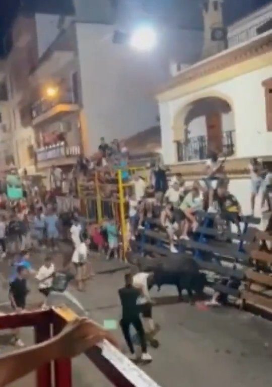 Toro impazzito incorna pubblico, eroe lo prende a calci nel didietro: video