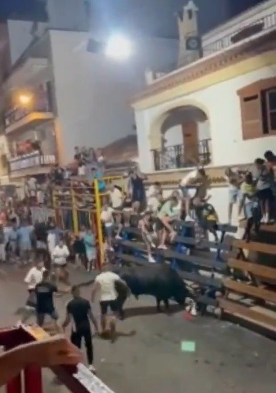 Toro impazzito incorna pubblico, eroe lo prende a calci nel didietro: video