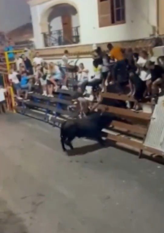 Toro impazzito incorna pubblico, eroe lo prende a calci nel didietro: video