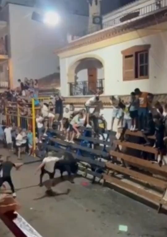 Toro impazzito incorna pubblico, eroe lo prende a calci nel didietro: video