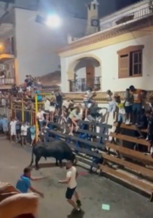 Toro impazzito incorna pubblico, eroe lo prende a calci nel didietro: video