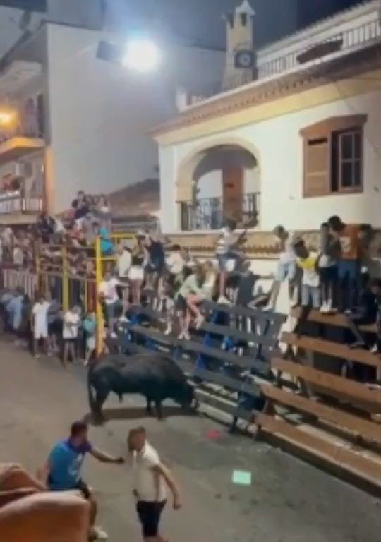 Toro impazzito incorna pubblico, eroe lo prende a calci nel didietro: video