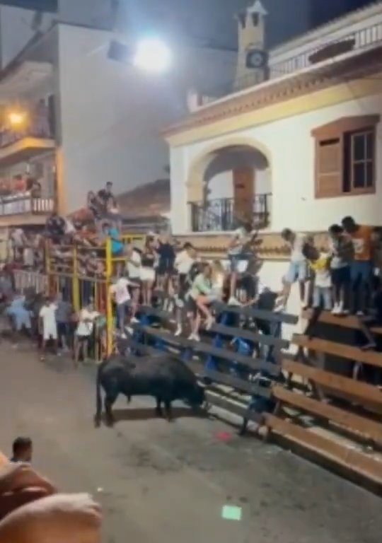 Toro impazzito incorna pubblico, eroe lo prende a calci nel didietro: video