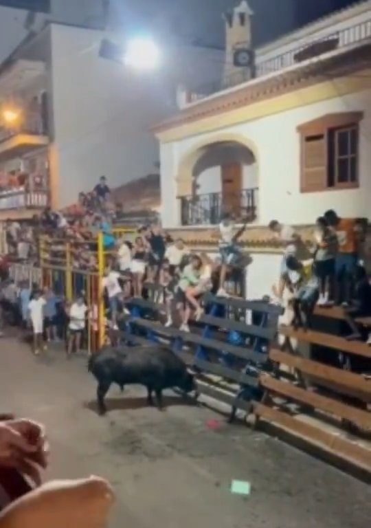 Toro impazzito incorna pubblico, eroe lo prende a calci nel didietro: video