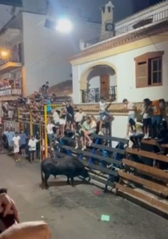 Toro impazzito incorna pubblico, eroe lo prende a calci nel didietro: video