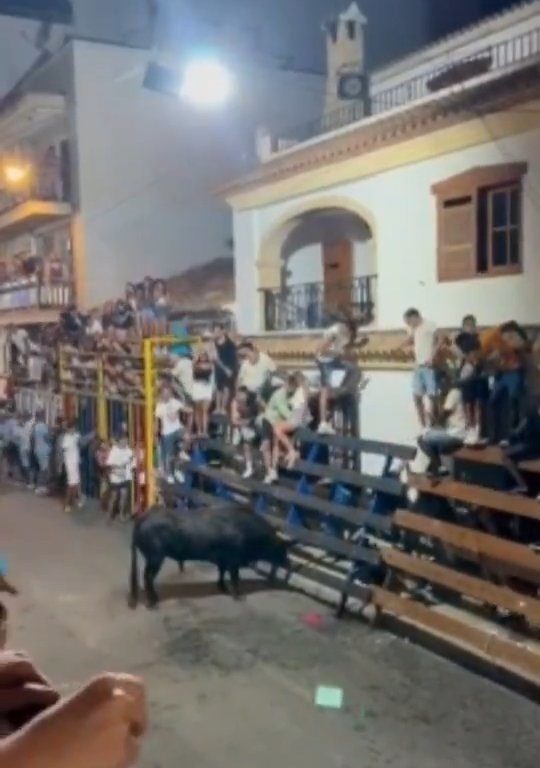 Toro impazzito incorna pubblico, eroe lo prende a calci nel didietro: video