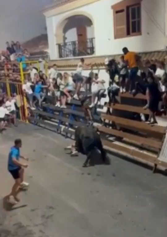 Un taureau fou encorne le public, un héros lui donne un coup de pied dans les fesses : vidéo