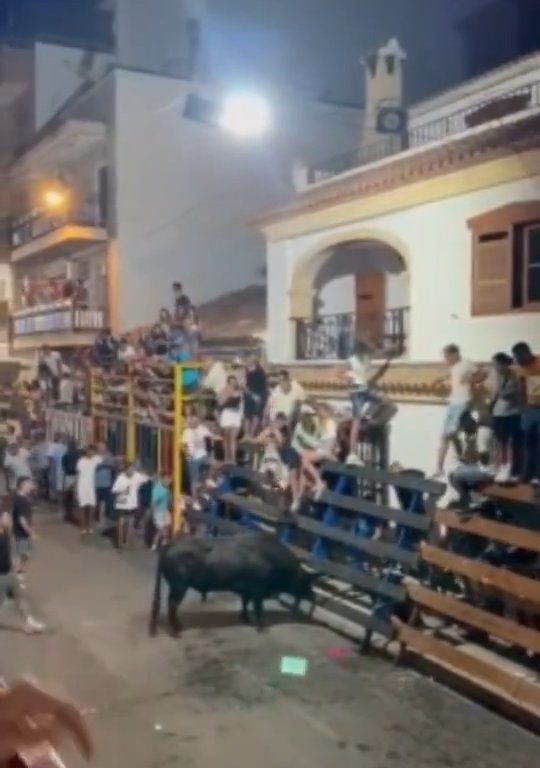 Toro impazzito incorna pubblico, eroe lo prende a calci nel didietro: video