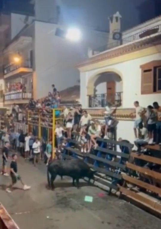 Toro impazzito incorna pubblico, eroe lo prende a calci nel didietro: video