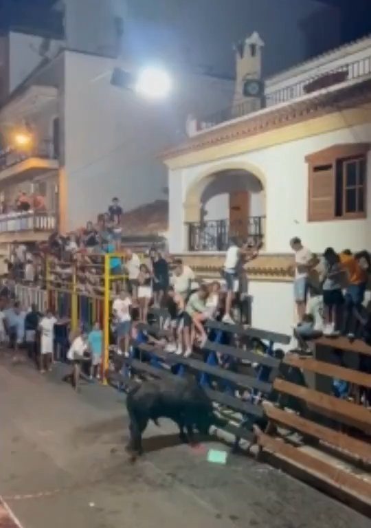 Toro impazzito incorna pubblico, eroe lo prende a calci nel didietro: video