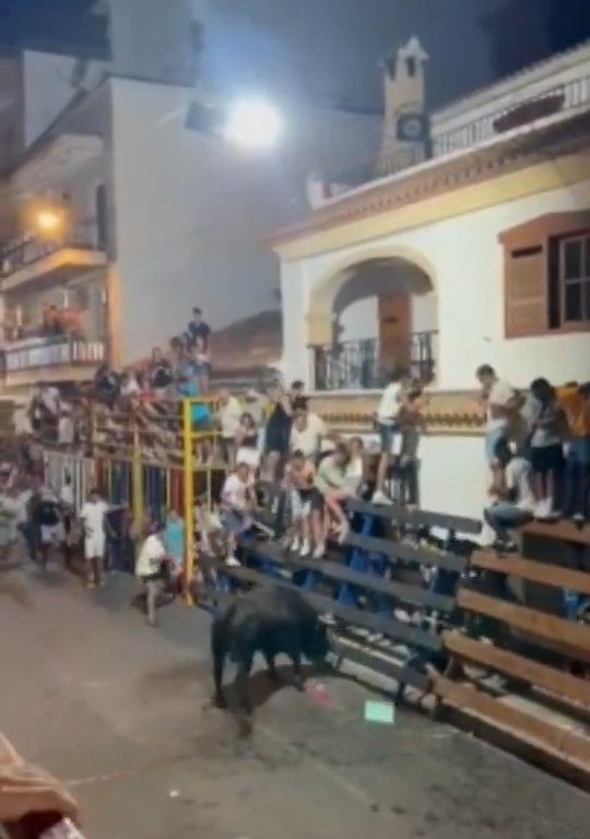 Toro impazzito incorna pubblico, eroe lo prende a calci nel didietro: video