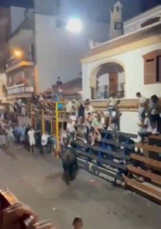 Toro impazzito incorna pubblico, eroe lo prende a calci nel didietro: video