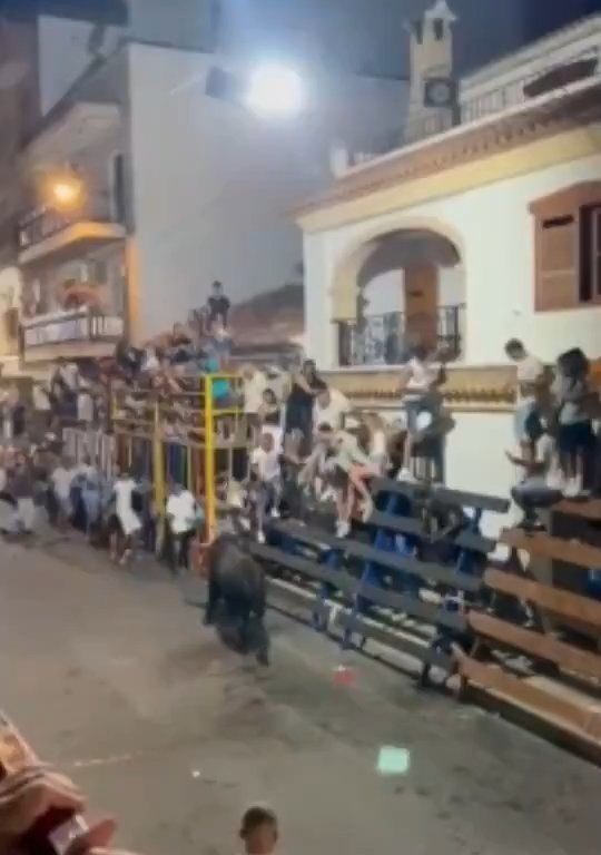 Toro impazzito incorna pubblico, eroe lo prende a calci nel didietro: video