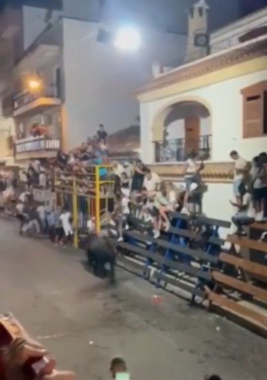 Toro impazzito incorna pubblico, eroe lo prende a calci nel didietro: video