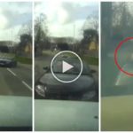 Borracho al volante de un descapotable y con sus hijos a bordo, sufre un choque frontal: el dramático video