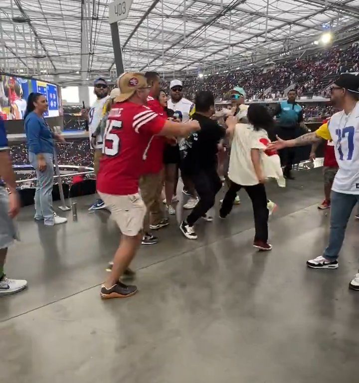 Donna colpita con un pugno da un violento tifoso NFL: il video diventa virale